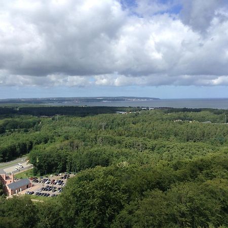 Ferienwohnung Boddenblick Zudar エクステリア 写真